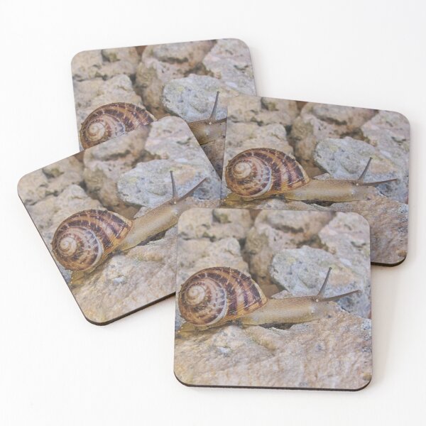 Item preview, Garden Snail Crawling Across Sunlit Rocky Surface With Spiral Brown Shell Close-Up designed and sold by Nmallia.