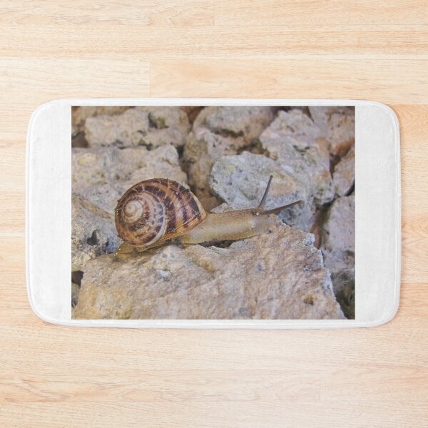 Item preview, Garden Snail Crawling Across Sunlit Rocky Surface With Spiral Brown Shell Close-Up designed and sold by Nmallia.