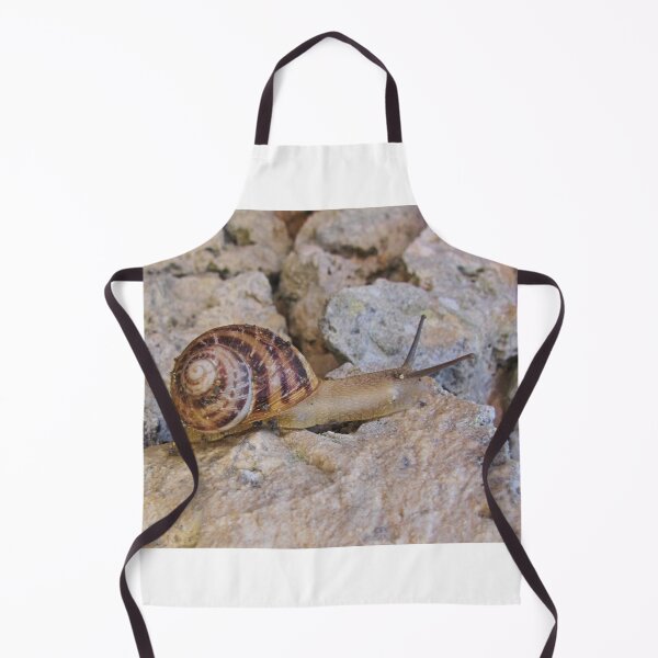 Item preview, Garden Snail Crawling Across Sunlit Rocky Surface With Spiral Brown Shell Close-Up designed and sold by Nmallia.