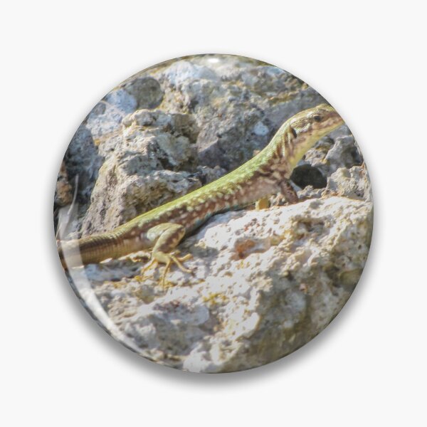 Item preview, Green Lizard Sunbathing on Rocky Shoreline Among Limestone Rocks Wildlife Reptile Close-Up designed and sold by Nmallia.