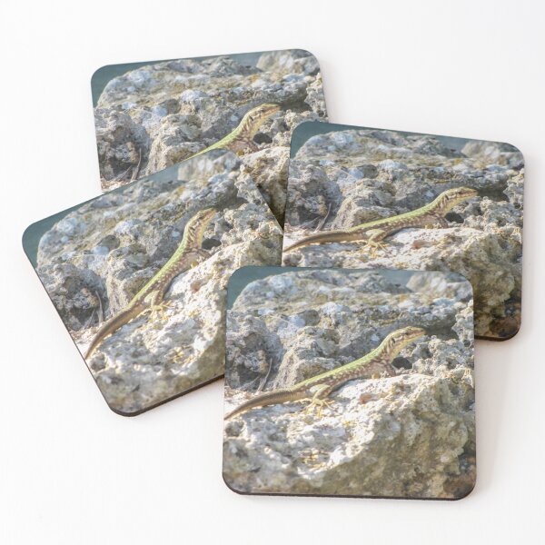 Item preview, Green Lizard Sunbathing on Rocky Shoreline Among Limestone Rocks Wildlife Reptile Close-Up designed and sold by Nmallia.