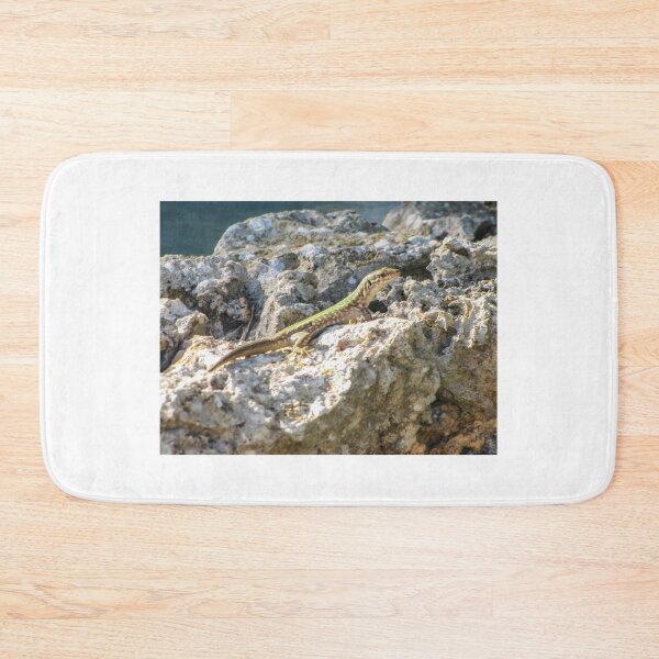 Item preview, Green Lizard Sunbathing on Rocky Shoreline Among Limestone Rocks Wildlife Reptile Close-Up designed and sold by Nmallia.