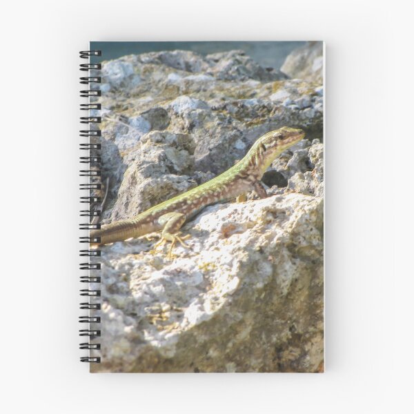 Item preview, Green Lizard Sunbathing on Rocky Shoreline Among Limestone Rocks Wildlife Reptile Close-Up designed and sold by Nmallia.
