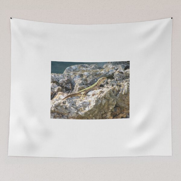 Item preview, Green Lizard Sunbathing on Rocky Shoreline Among Limestone Rocks Wildlife Reptile Close-Up designed and sold by Nmallia.