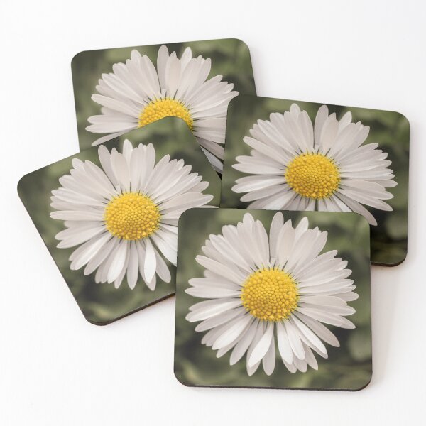 Item preview, Daisy designed and sold by MS.photo.
