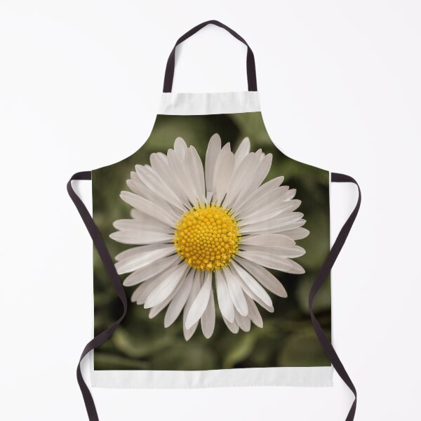Item preview, Daisy designed and sold by MS.photo.