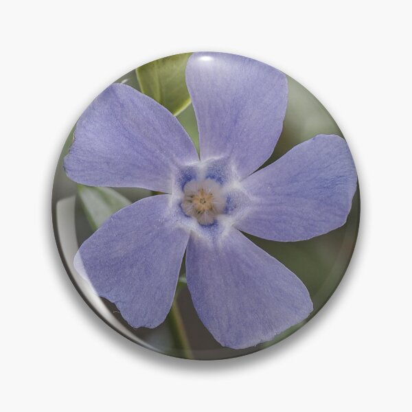 Item preview, Periwinkle designed and sold by MS.photo.