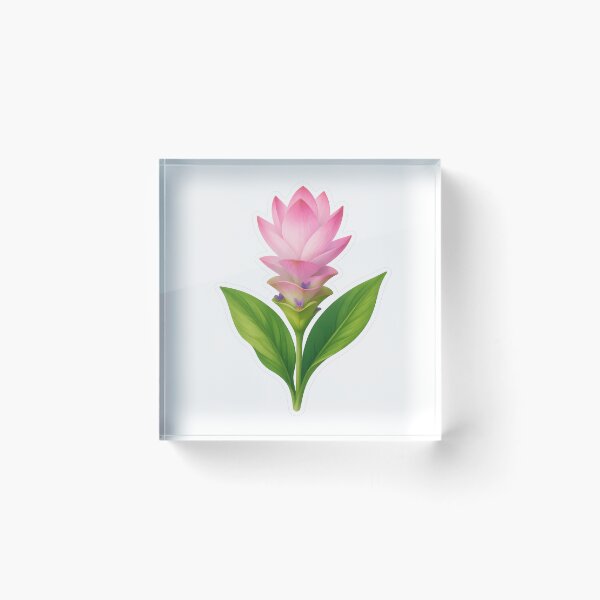 Item preview, Siam Tulip Sticker | Pink Botanical Tropical Flower Illustration | Siam Tulip Gift for Flower Lover designed and sold by Symbol Universe.