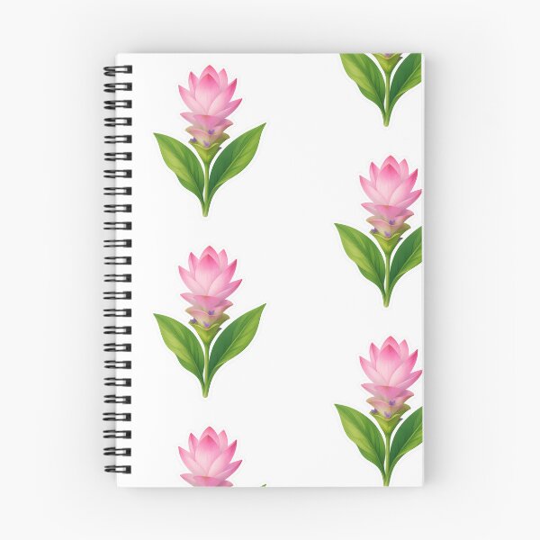 Item preview, Siam Tulip Sticker | Pink Botanical Tropical Flower Illustration | Siam Tulip Gift for Flower Lover designed and sold by Symbol Universe.