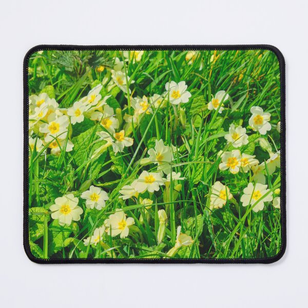 Item preview, Wild Primroses in Spring Sunshine designed and sold by Violaman.