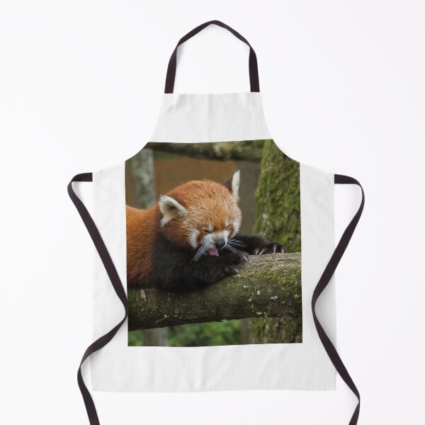 Item preview, Red panda designed and sold by MS.photo.