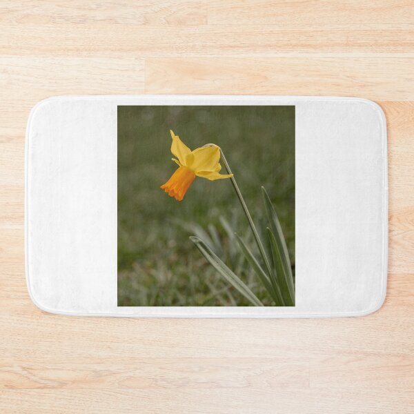 Item preview, Daffodil designed and sold by MS.photo.