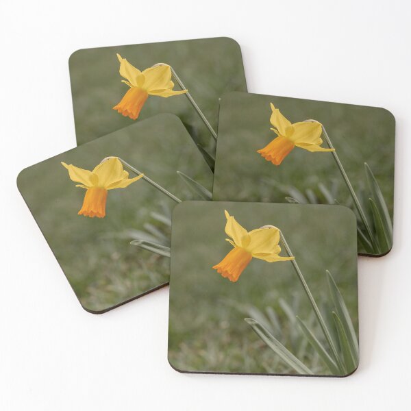 Item preview, Daffodil designed and sold by MS.photo.