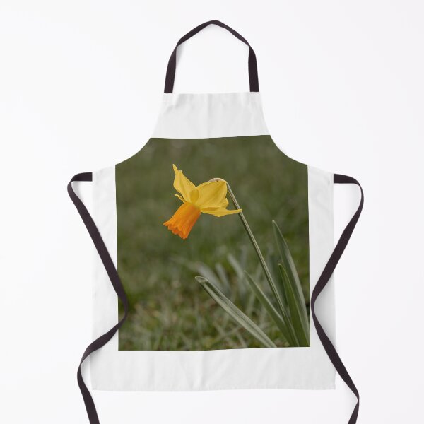 Item preview, Daffodil designed and sold by MS.photo.