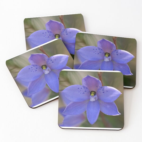 Item preview, Dotted sun orchid .. Thelymitra ixioides designed and sold by Michael Matthews.