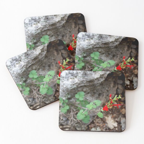 Artikelvorschau, Cedar Sage (Austin, TX) entworfen und verkauft von Scott K Smith.
