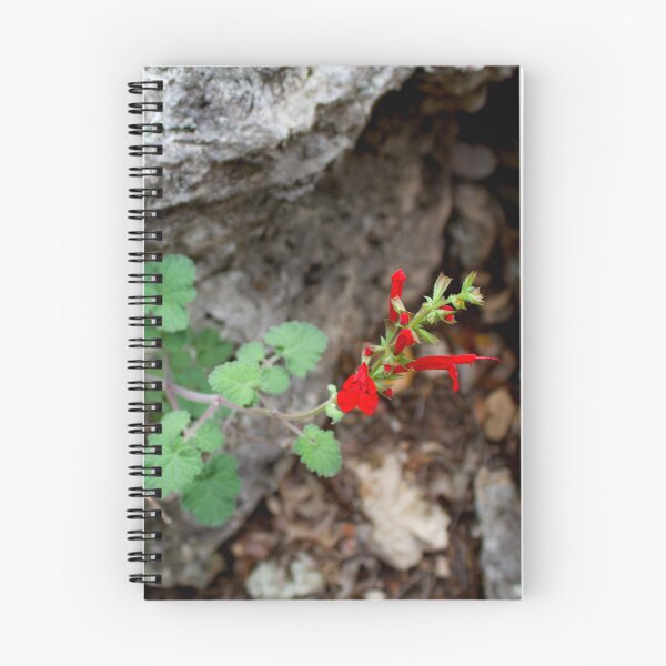 Item preview, Cedro y salvia (Austin, Texas) designed and sold by Scott K Smith.