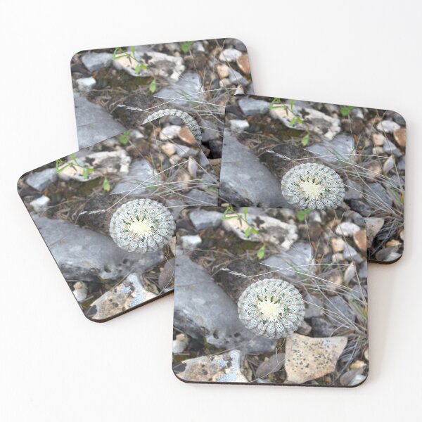Item preview, Hedghog Cactus and Scree designed and sold by Scott K Smith.