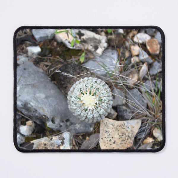 Item preview, Hedghog Cactus and Scree designed and sold by Scott K Smith.