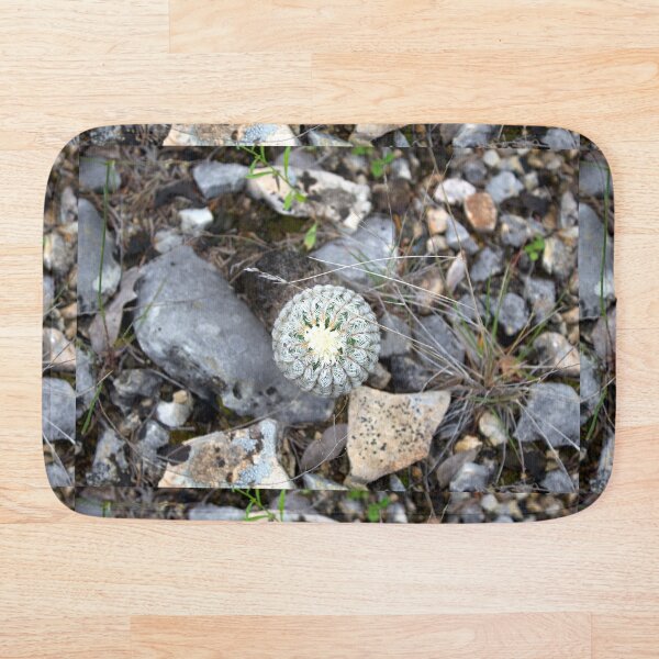 Aperçu de l'œuvre Cactus hérisson et éboulis créée et vendue par Scott K Smith.