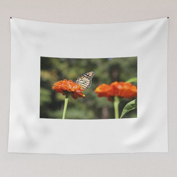 Item preview, Butterfly Perched on Flower designed and sold by BostonArcImage.