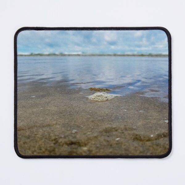 Item preview, Cannon Beach v6 designed and sold by OddLilFox.
