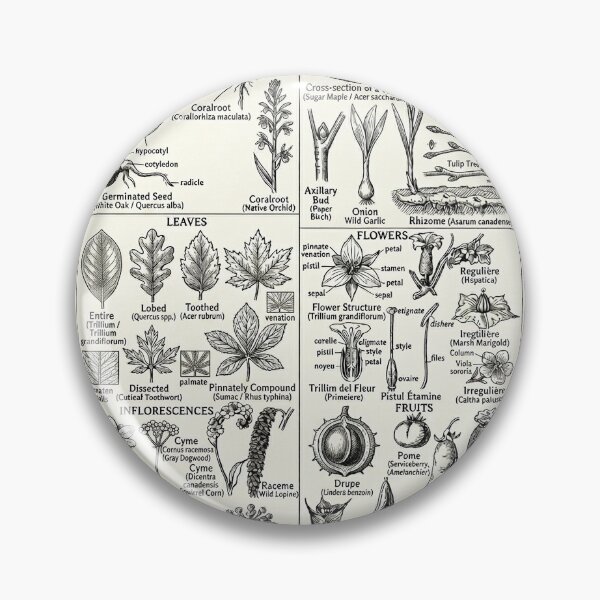 Item preview, Native Plants of Ohio designed and sold by parkerkimes.