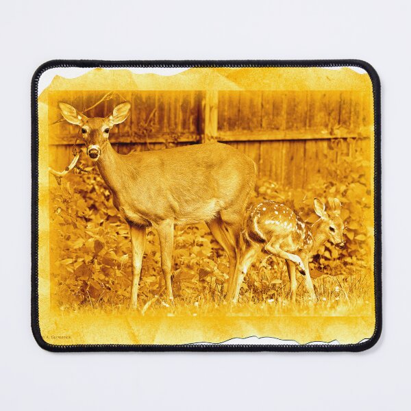 Item preview, Virginia Deer, White-tailed Deer, Doe and Fawn designed and sold by AMacGPhilly.
