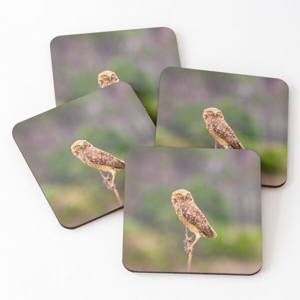 Item preview, the owl is here designed and sold by ricobarinas.
