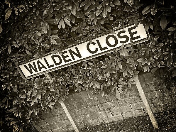 Walden Close, Thelwall, Warrington, Cheshire, WA4 2HB