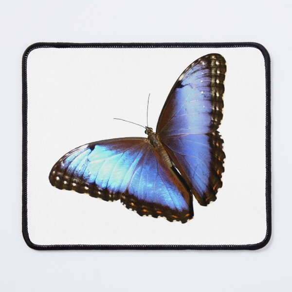 Item preview, Blue Butterfly designed and sold by greencitystudio.