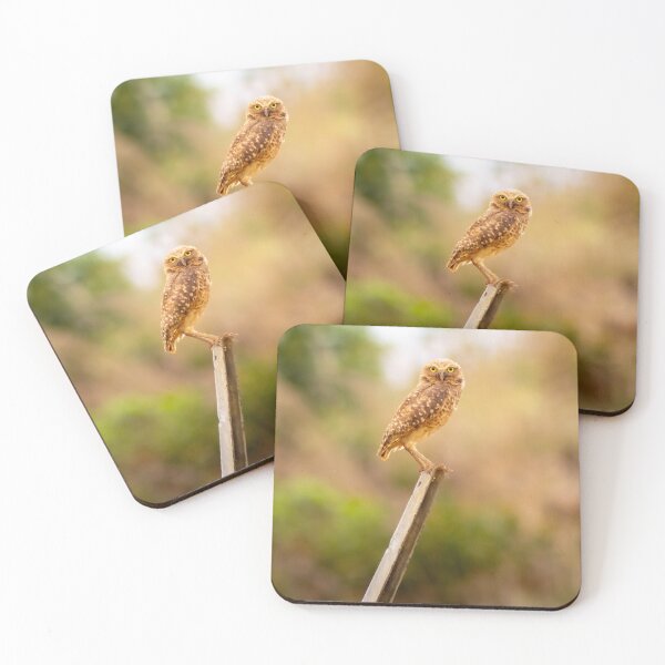Item preview, the owl is here designed and sold by ricobarinas.