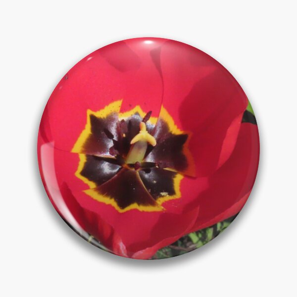 Item preview, Tulips growing in the springtime sun and showers  designed and sold by Ribster13.