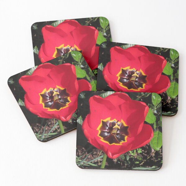 Item preview, Tulips growing in the springtime sun and showers  designed and sold by Ribster13.