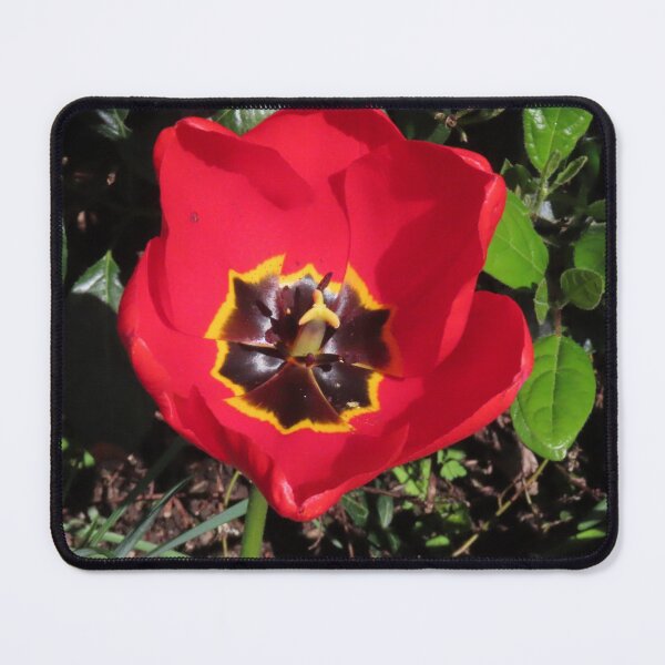 Item preview, Tulips growing in the springtime sun and showers  designed and sold by Ribster13.