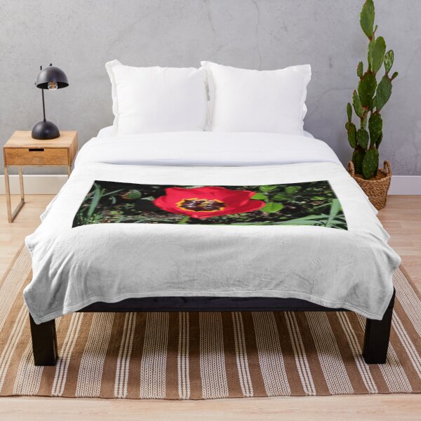 Item preview, Tulips growing in the springtime sun and showers  designed and sold by Ribster13.