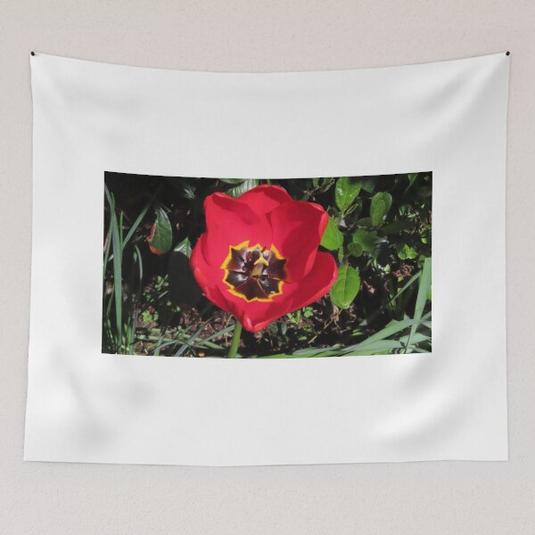Item preview, Tulips growing in the springtime sun and showers  designed and sold by Ribster13.