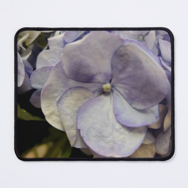 Item preview, Purple hydrange bloom close up designed and sold by Raineylanes.