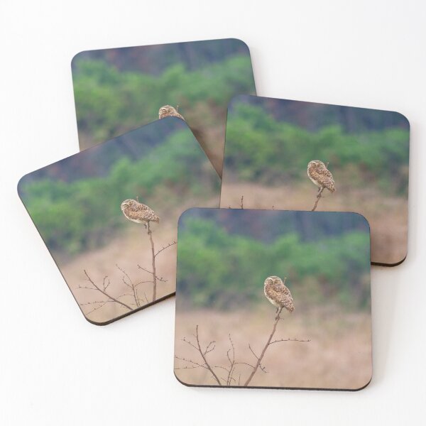 Item preview, the owl is here designed and sold by ricobarinas.