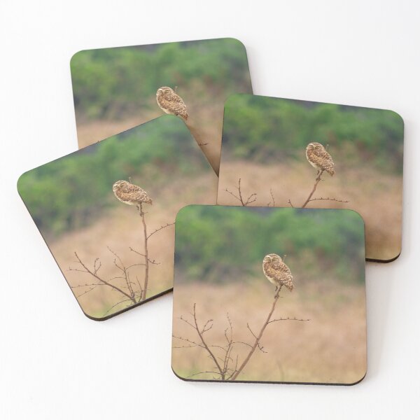 Item preview, the owl is here designed and sold by ricobarinas.