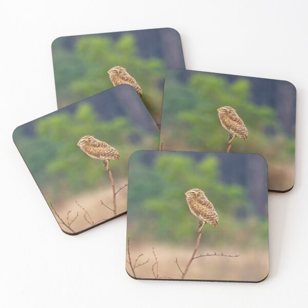 Item preview, the owl is here designed and sold by ricobarinas.