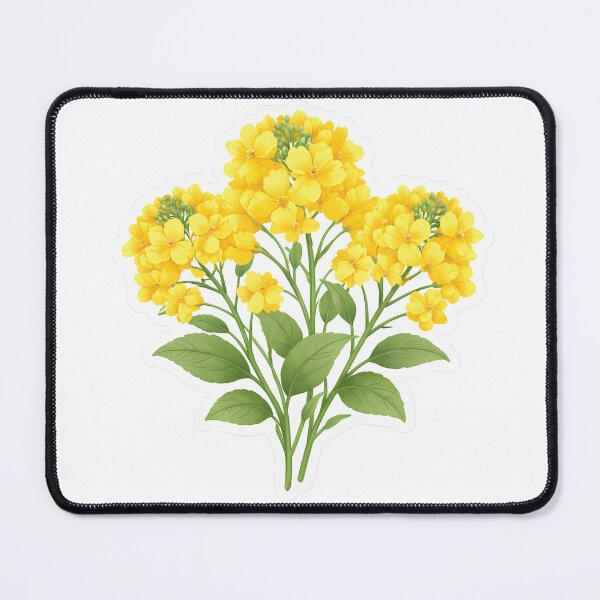 Item preview, Canola Flower Sticker – Cute Yellow Rapeseed Cluster Flat Illustration Botanical Sticker Art designed and sold by Symbol Universe.