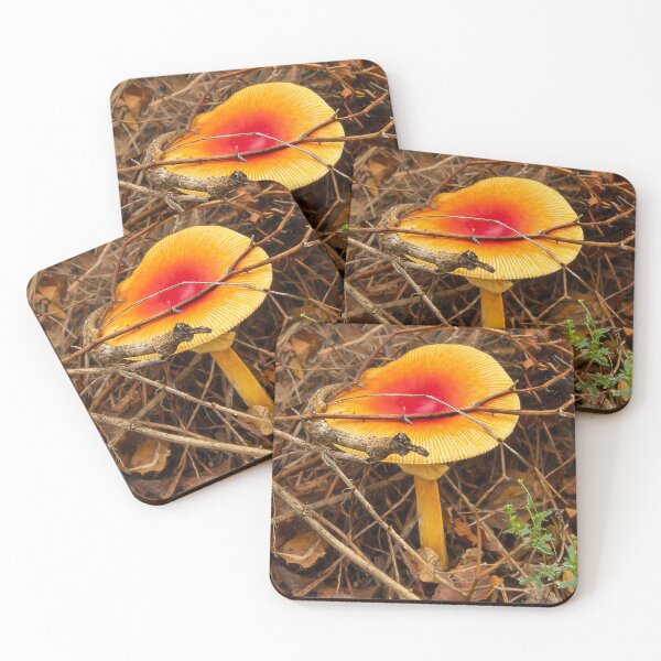 Item preview, Vibrant Forest Mushroom Oil Painting | Red and Yellow Wild Mushroom Art designed and sold by Blossom-Breeze.