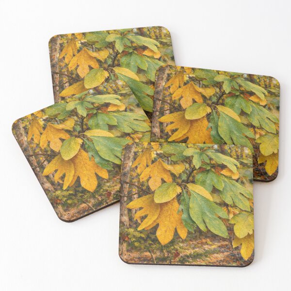 Item preview, Autumn Sassafras Leaves in Woodland Light designed and sold by Blossom-Breeze.