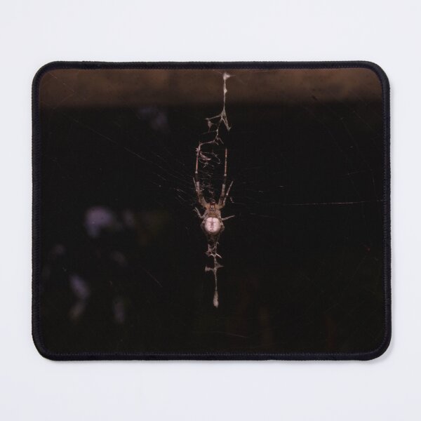 Item preview, European garden spider designed and sold by ROSE ANN BANILAR.