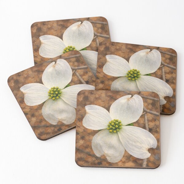 Item preview, Rustic White Dogwood Botanical Fine Art designed and sold by Blossom-Breeze.