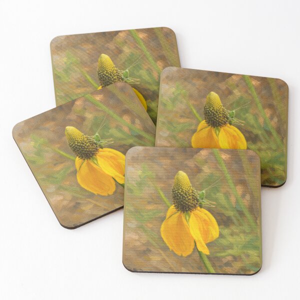 Item preview, Green Katydid on Yellow Coneflower Oil Painting designed and sold by Blossom-Breeze.