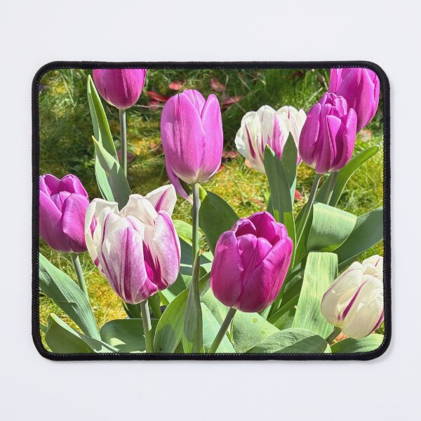 Item preview, Tulip Blooms designed and sold by Abstraxjax.