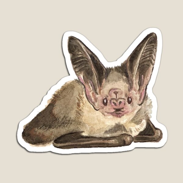 Item preview, Lesser Long eared Bat watercolour designed and sold by gizmoandco.