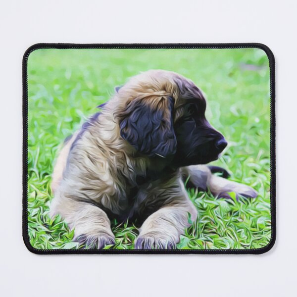 Item preview, A fluffy puppy resting in the grass designed and sold by ZoroDesign.